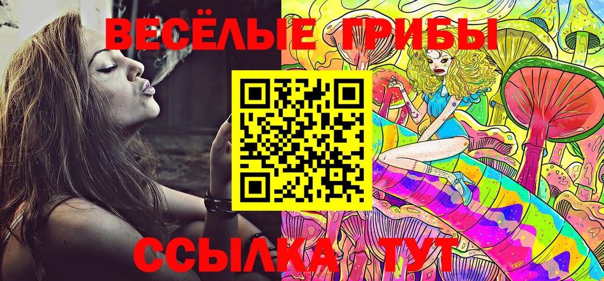 Азнакаево  Галлюциногенные грибы Cubensis  Вход с VPN 