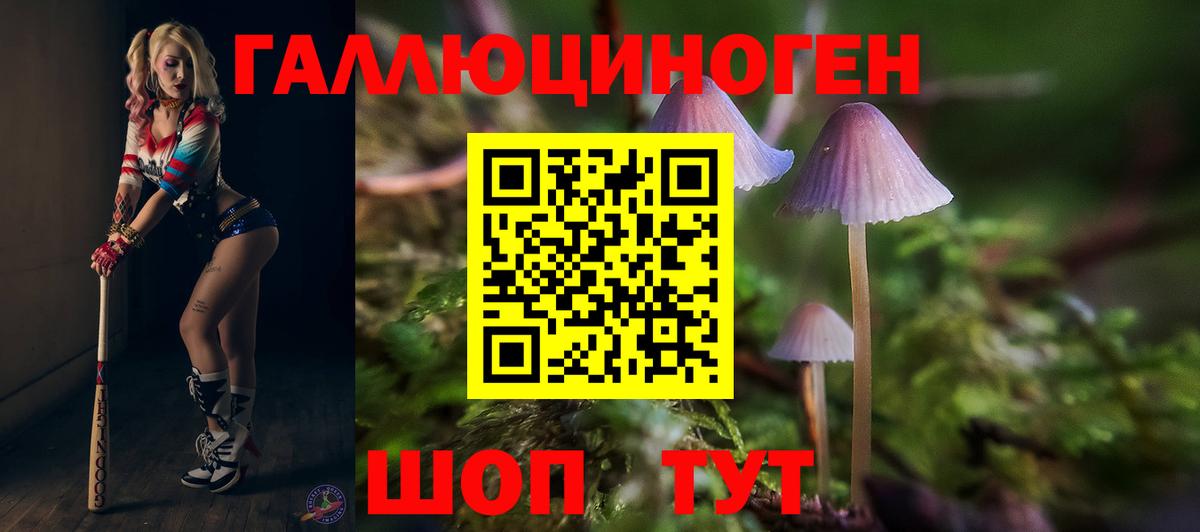 Псилоцибиновые грибы Psilocybe Азнакаево